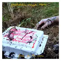 Food for the Worms cover art