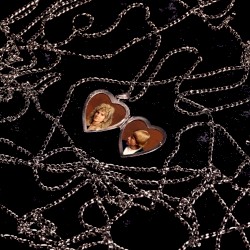 Face Down In The Garden cover art