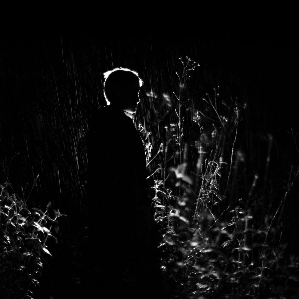 A Body Like a Home cover art