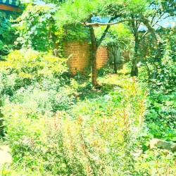 Rough and Beautiful Place cover art