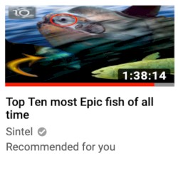 Top Ten most Epic fish of all time cover art