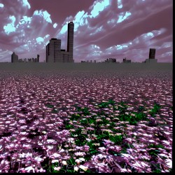 flowerfield cover art