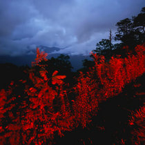 The Heart Beating as None cover art