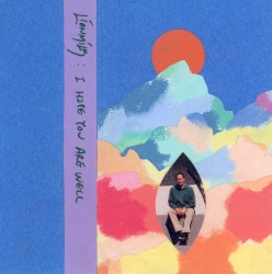 I Hope You Are Well cover art